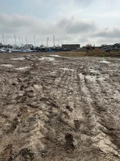 We had to wade through this mud to reach the sea wall and regain the path - there didn't seem to be any other route, but we can't help suspecting that we strayed off the path a bit?